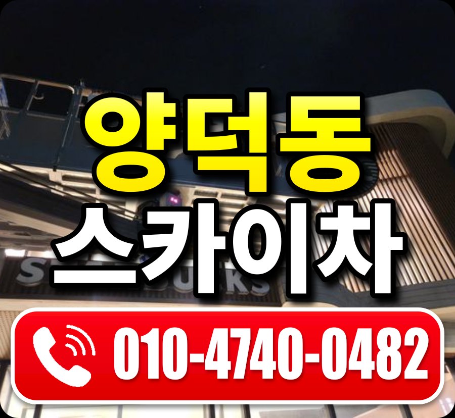 양덕동 스카이차 010-4740-0482