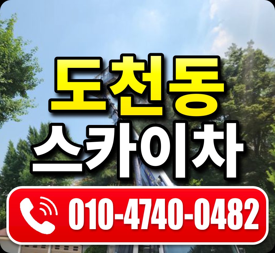 도천동 스카이차 010-4740-0482