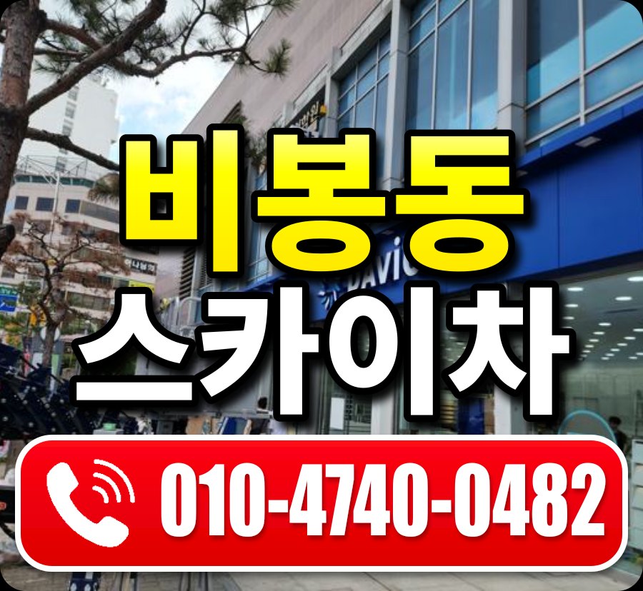 비봉동 스카이차 010-4740-0482