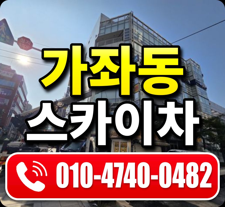 가좌동 스카이차 010-4740-0482