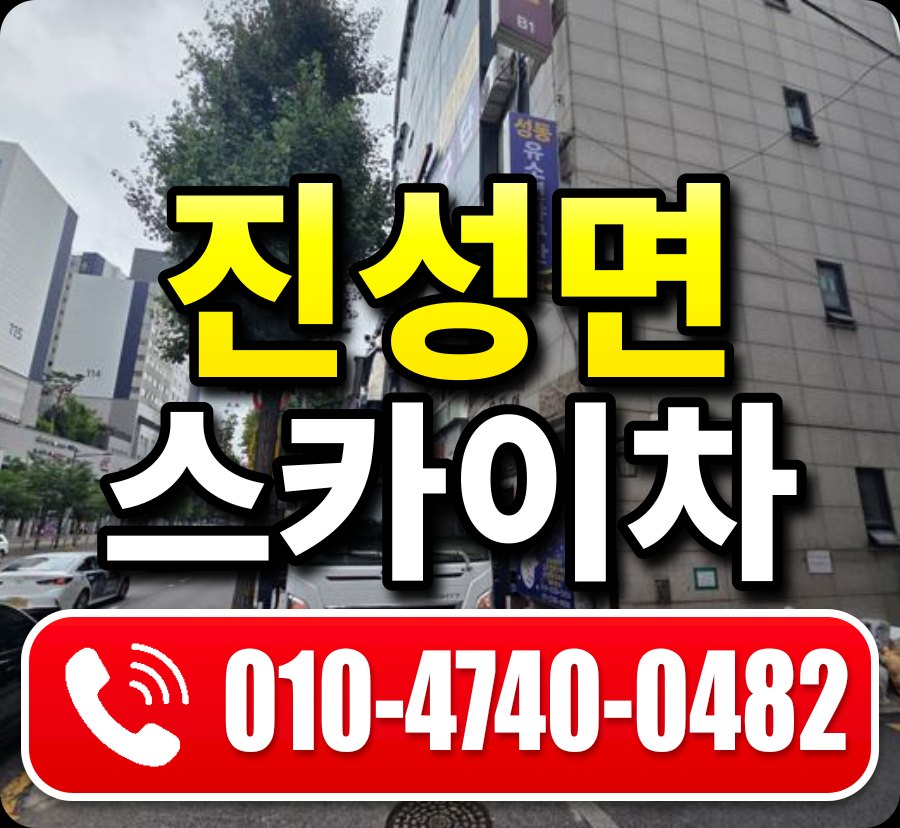 진성면 스카이차 010-4740-0482
