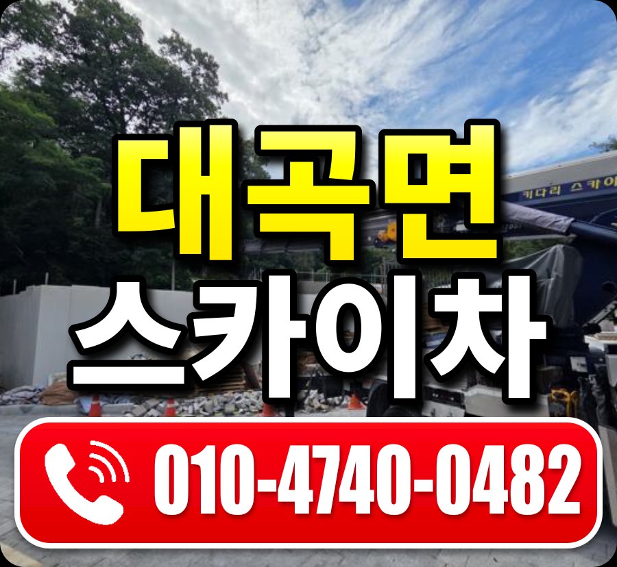 대곡면 스카이차 010-4740-0482