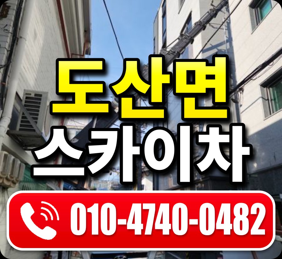 도산면 스카이차 010-4740-0482