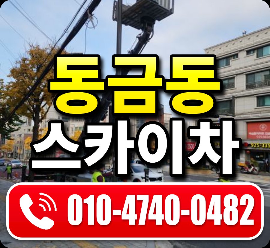 동금동 스카이차 010-4740-0482