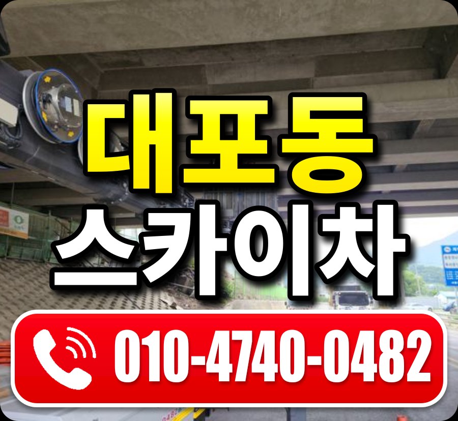 대포동 스카이차 010-4740-0482