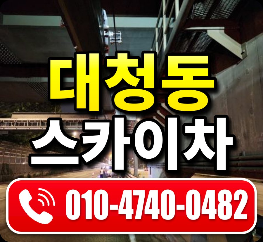 대청동 스카이차 010-4740-0482