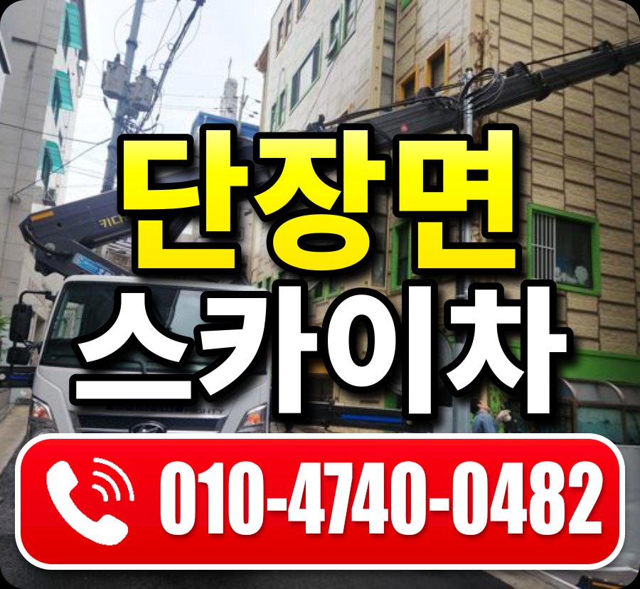 단장면 스카이차 010-4740-0482