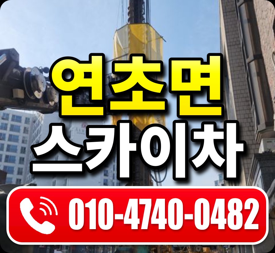 연초면 스카이차 010-4740-0482
