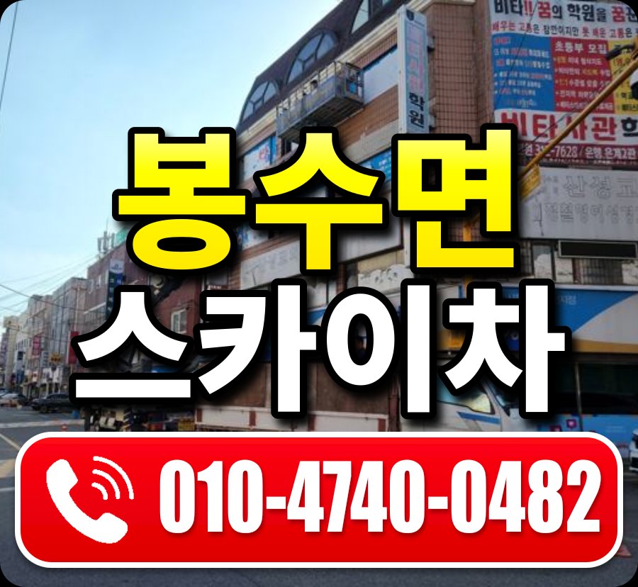 봉수면 스카이차 010-4740-0482