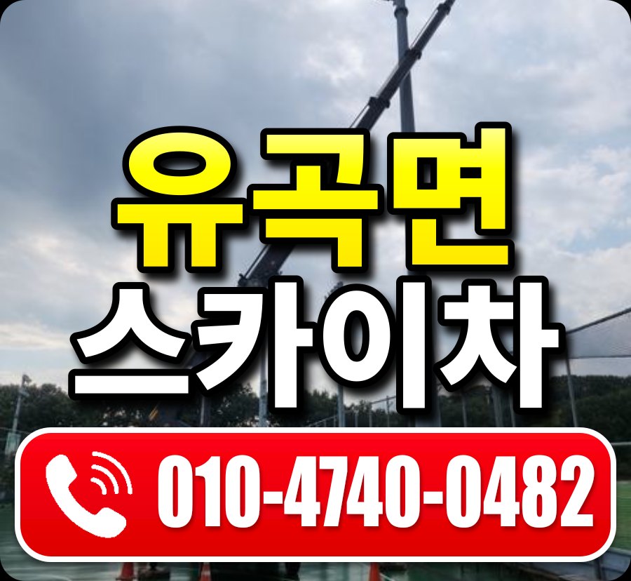 유곡면 스카이차 010-4740-0482