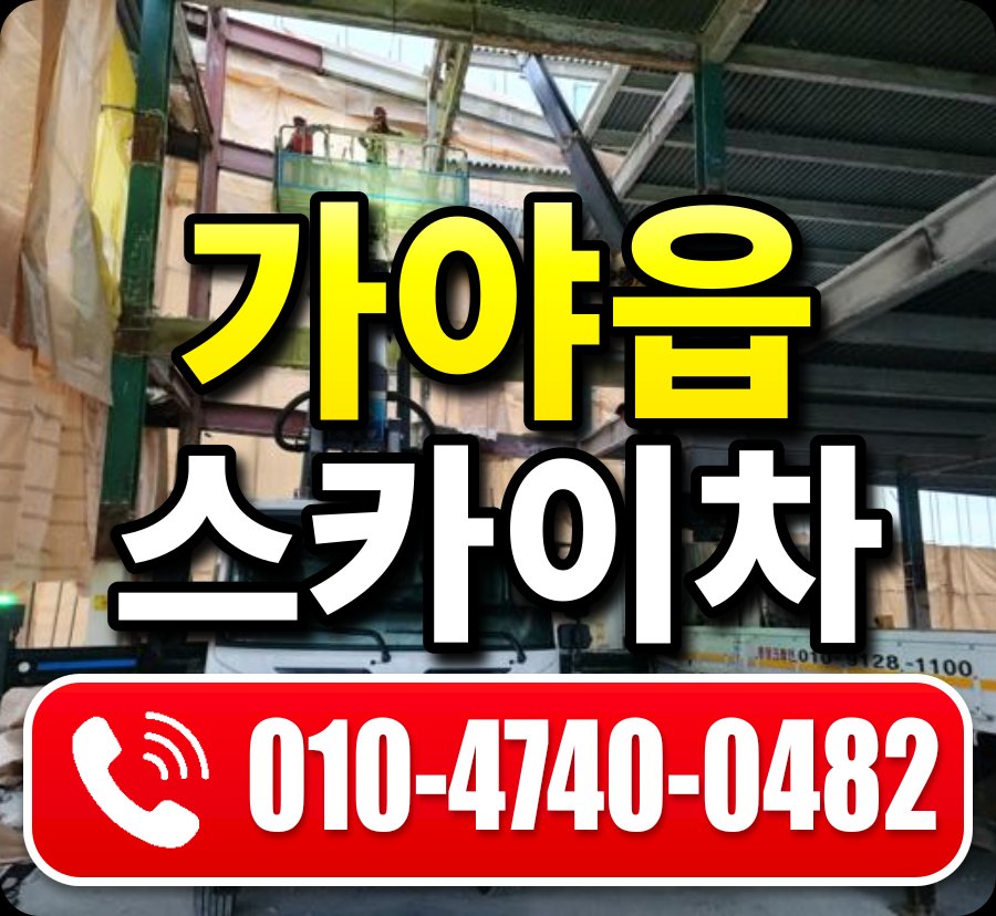 가야읍 스카이차 010-4740-0482