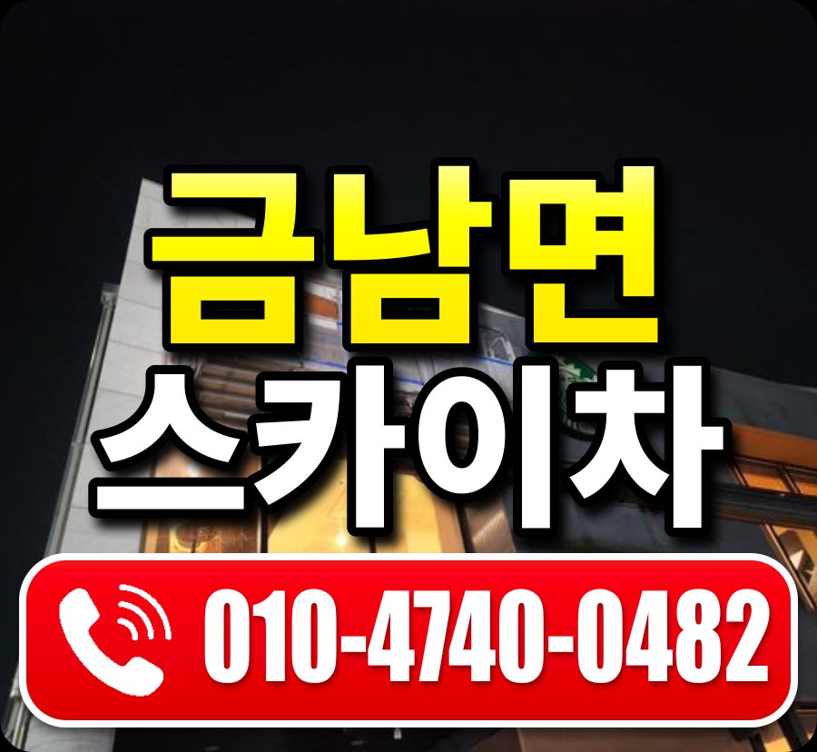 금남면 스카이차 010-4740-0482