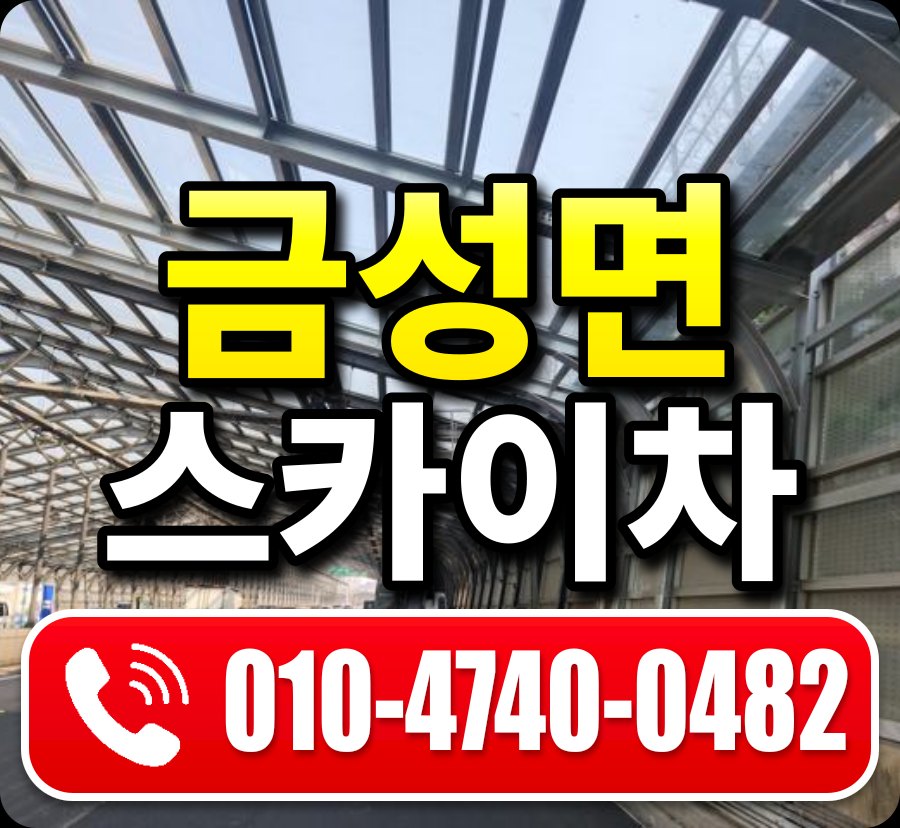 금성면 스카이차 010-4740-0482