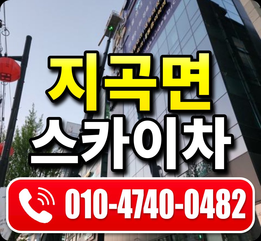 지곡면 스카이차 010-4740-0482