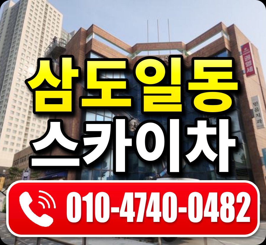 삼도일동 스카이차 010-4740-0482