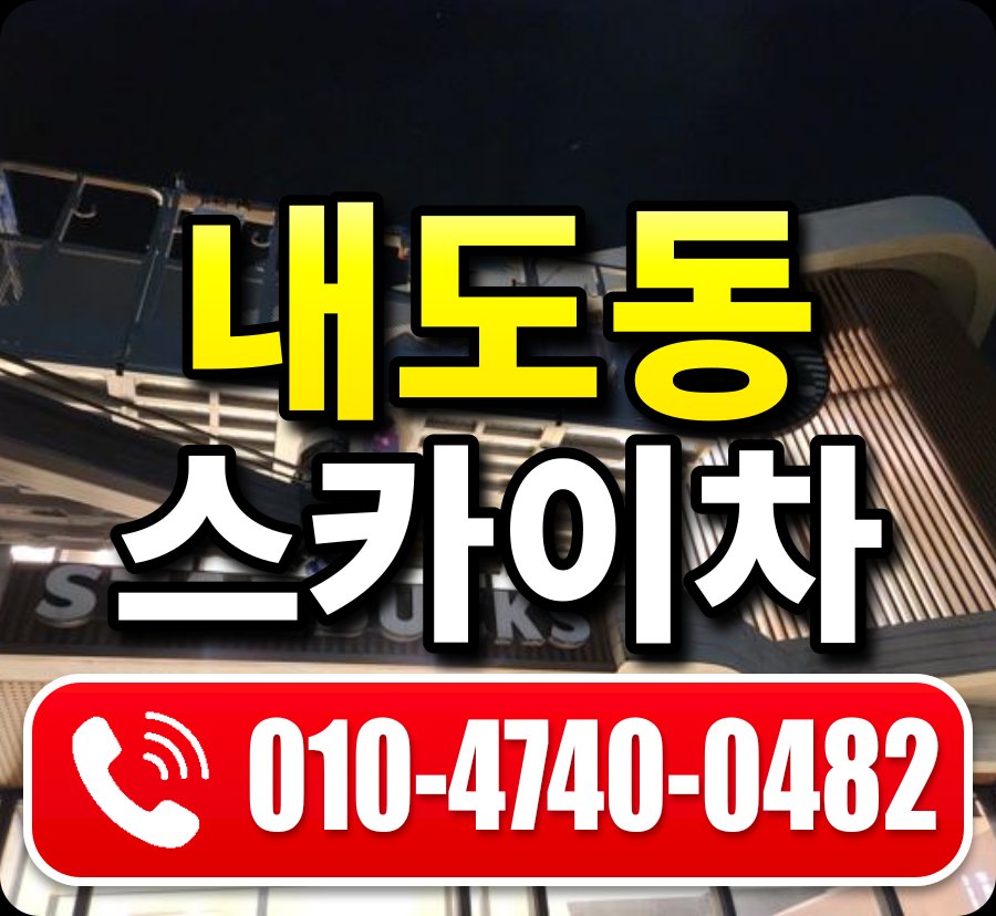 내도동 스카이차 010-4740-0482