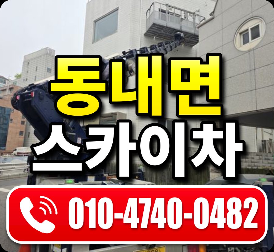 동내면 스카이차 010-4740-0482