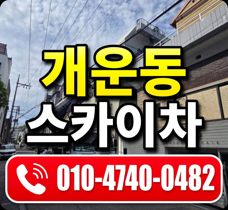 개운동 스카이차 010-4740-0482