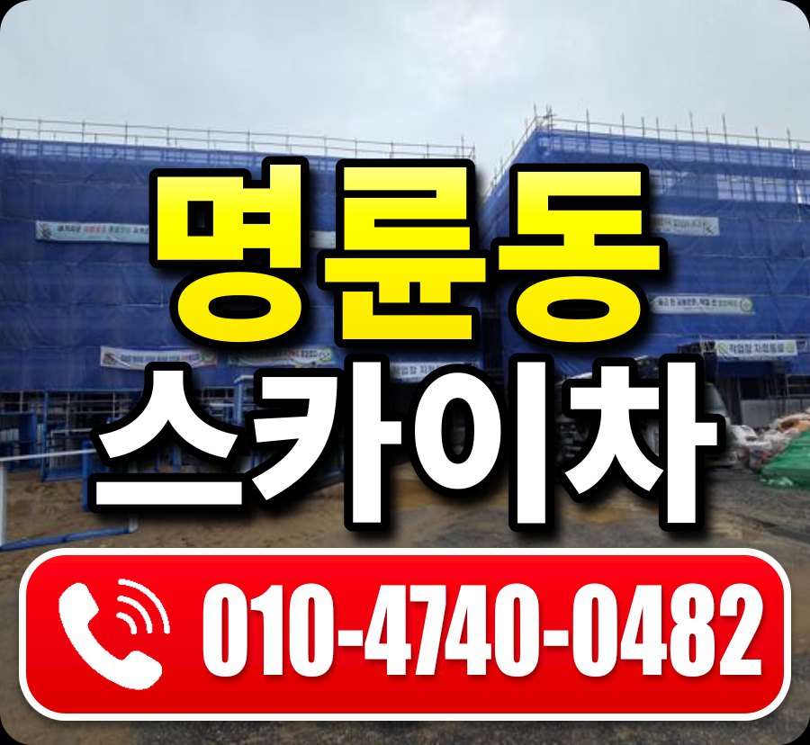 명륜동 스카이차 010-4740-0482
