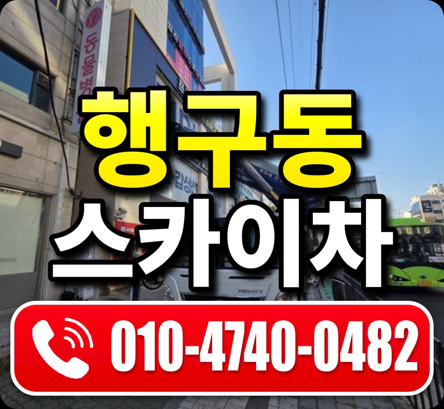 행구동 스카이차 010-4740-0482