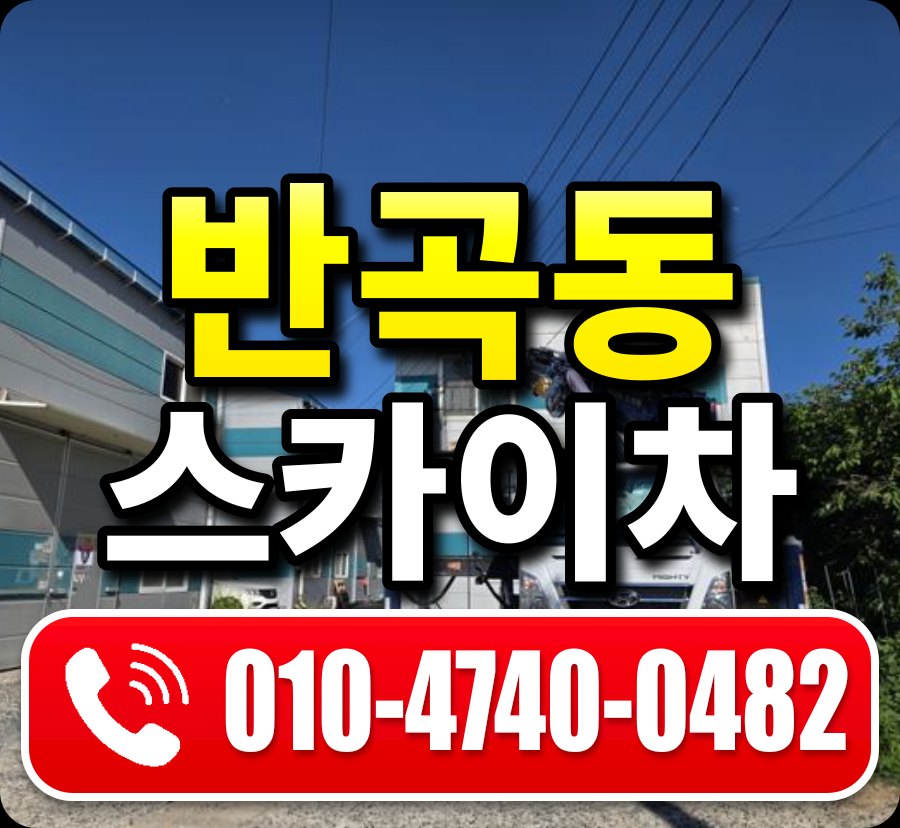 반곡동 스카이차 010-4740-0482