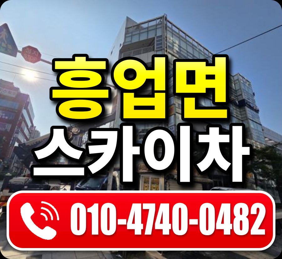 흥업면 스카이차 010-4740-0482