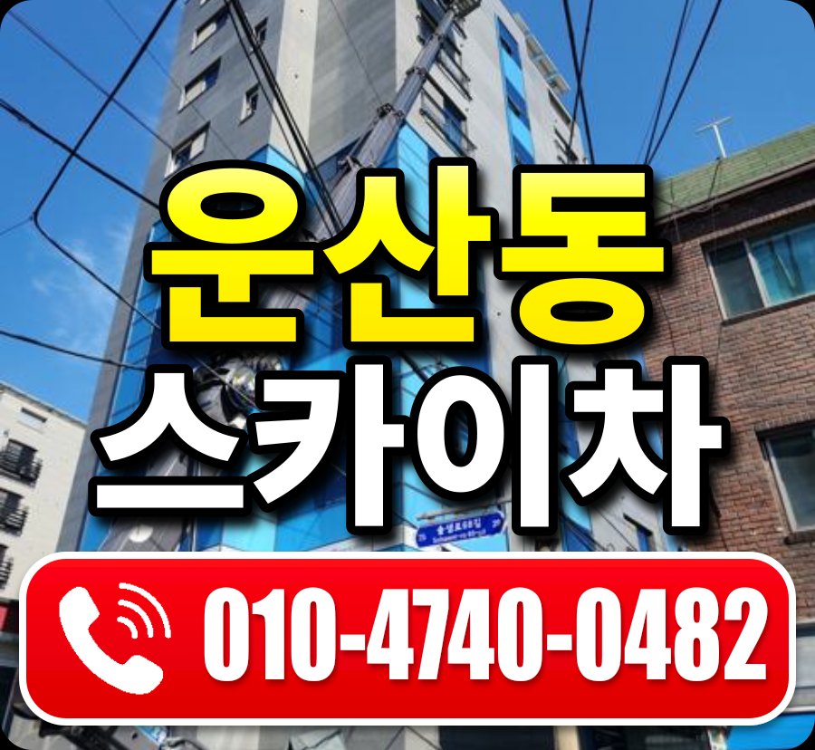운산동 스카이차 010-4740-0482