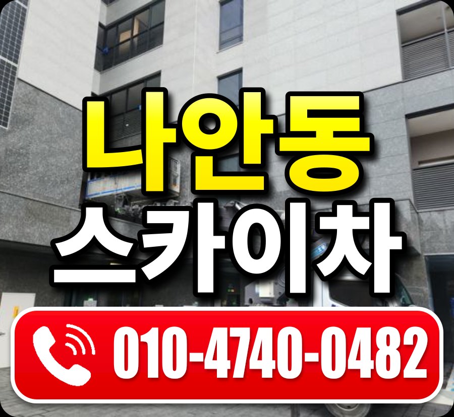 나안동 스카이차 010-4740-0482