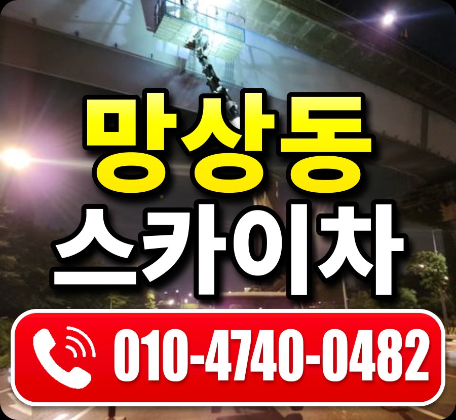 망상동 스카이차 010-4740-0482