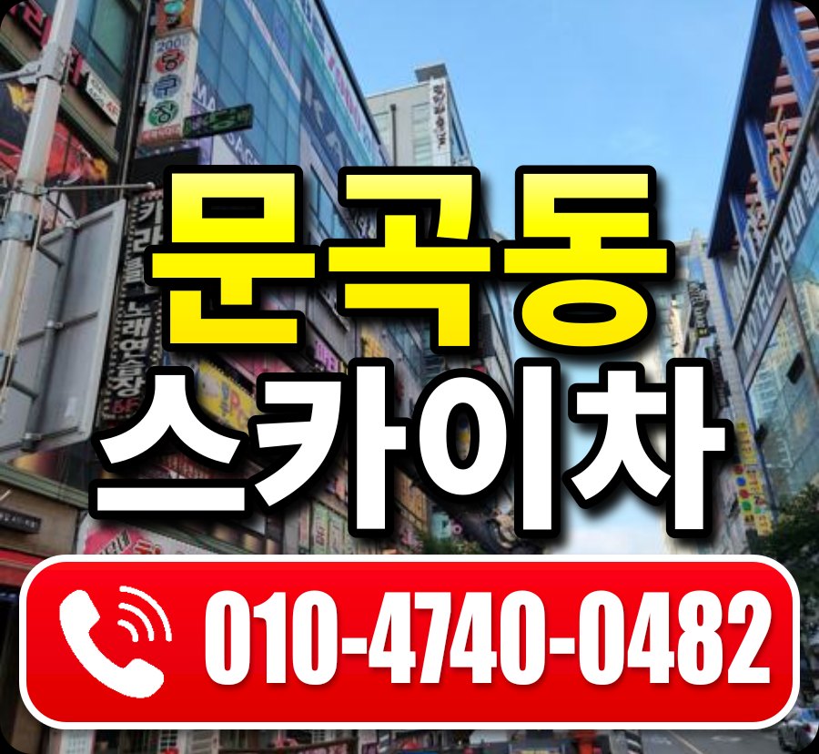 문곡동 스카이차 010-4740-0482