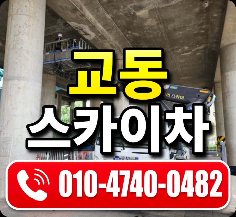 교동 스카이차 010-4740-0482