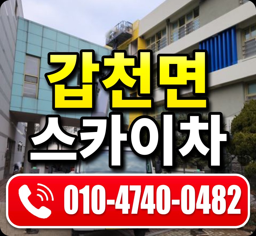 갑천면 스카이차 010-4740-0482