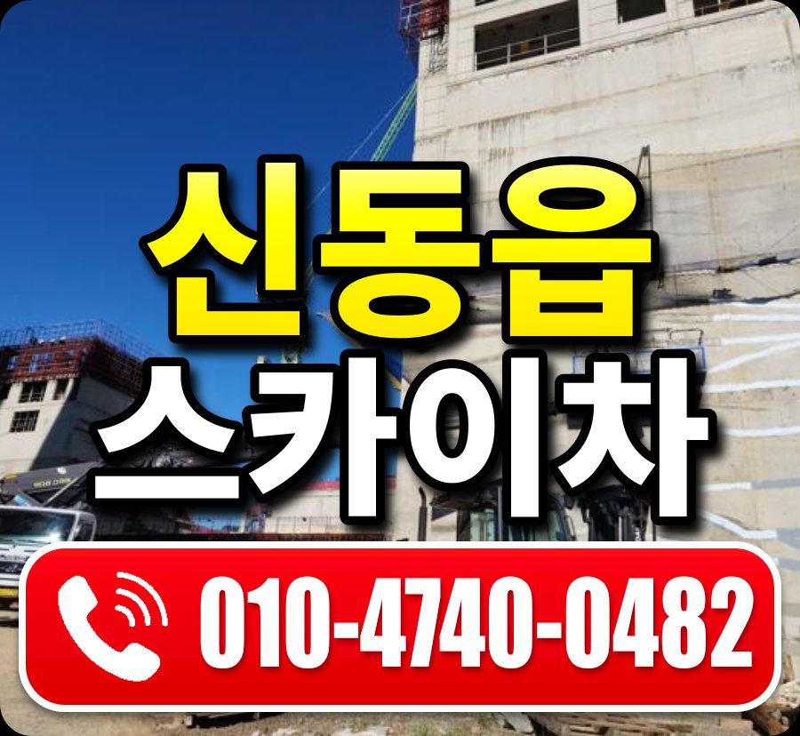 신동읍 스카이차 010-4740-0482