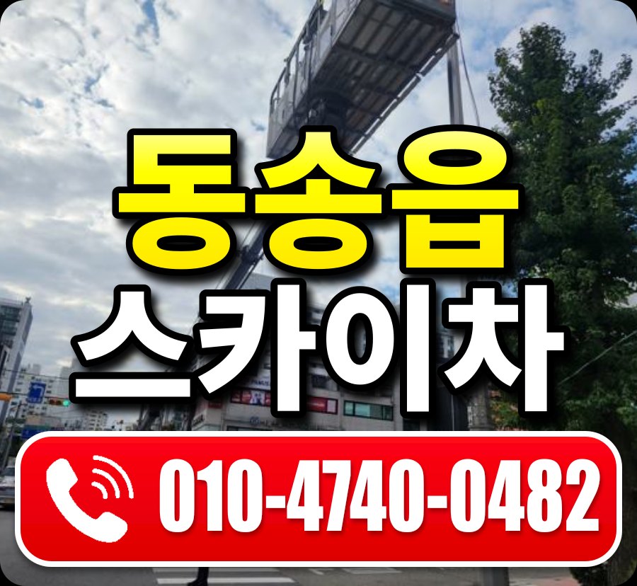 동송읍 스카이차 010-4740-0482