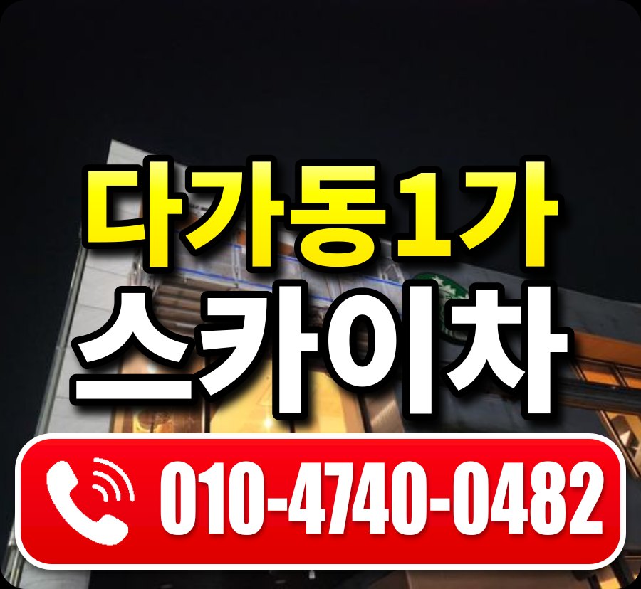 다가동1가 스카이차 010-4740-0482