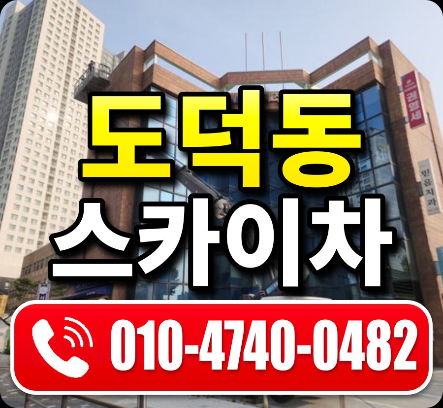 도덕동 스카이차 010-4740-0482