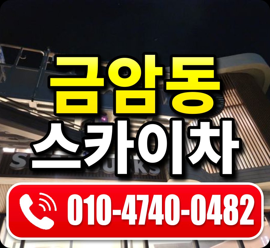 금암동 스카이차 010-4740-0482