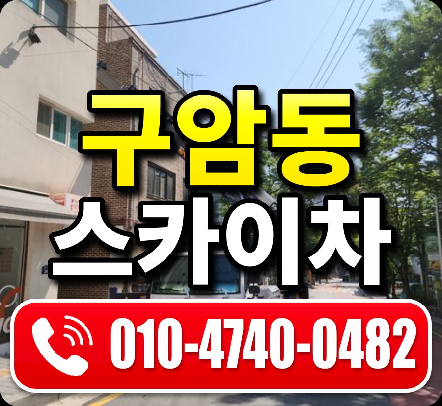구암동 스카이차 010-4740-0482
