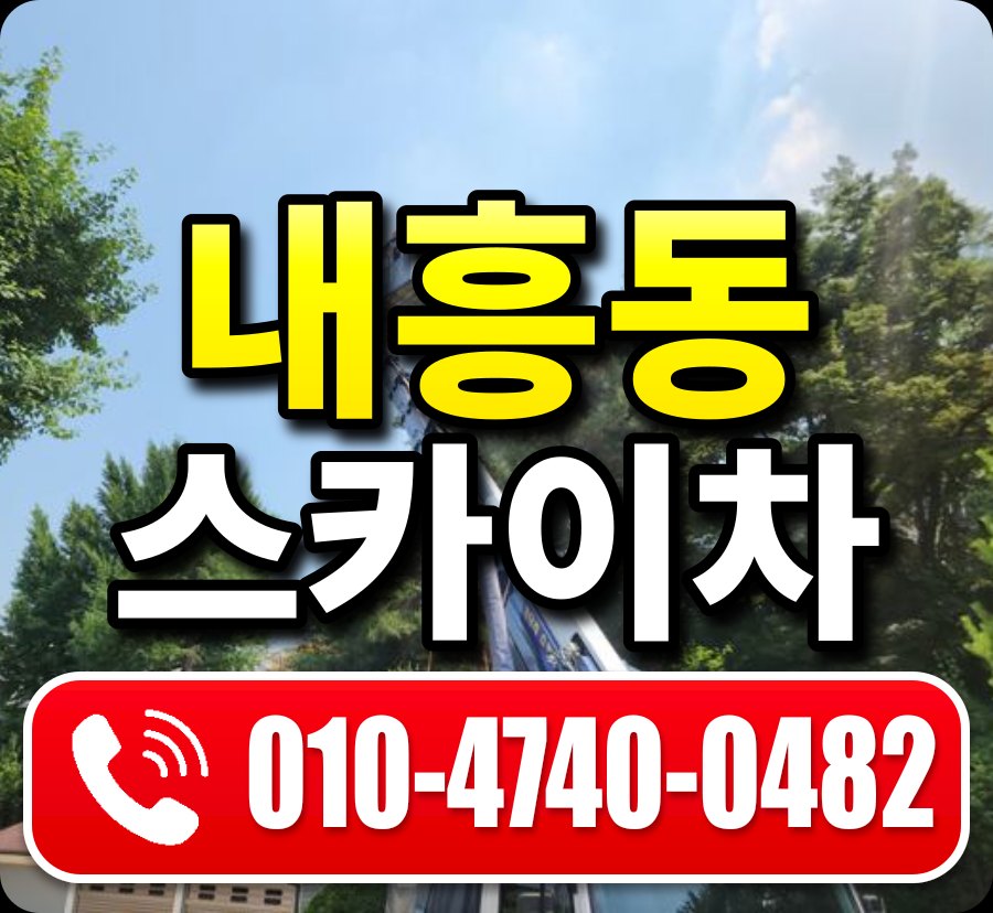 내흥동 스카이차 010-4740-0482