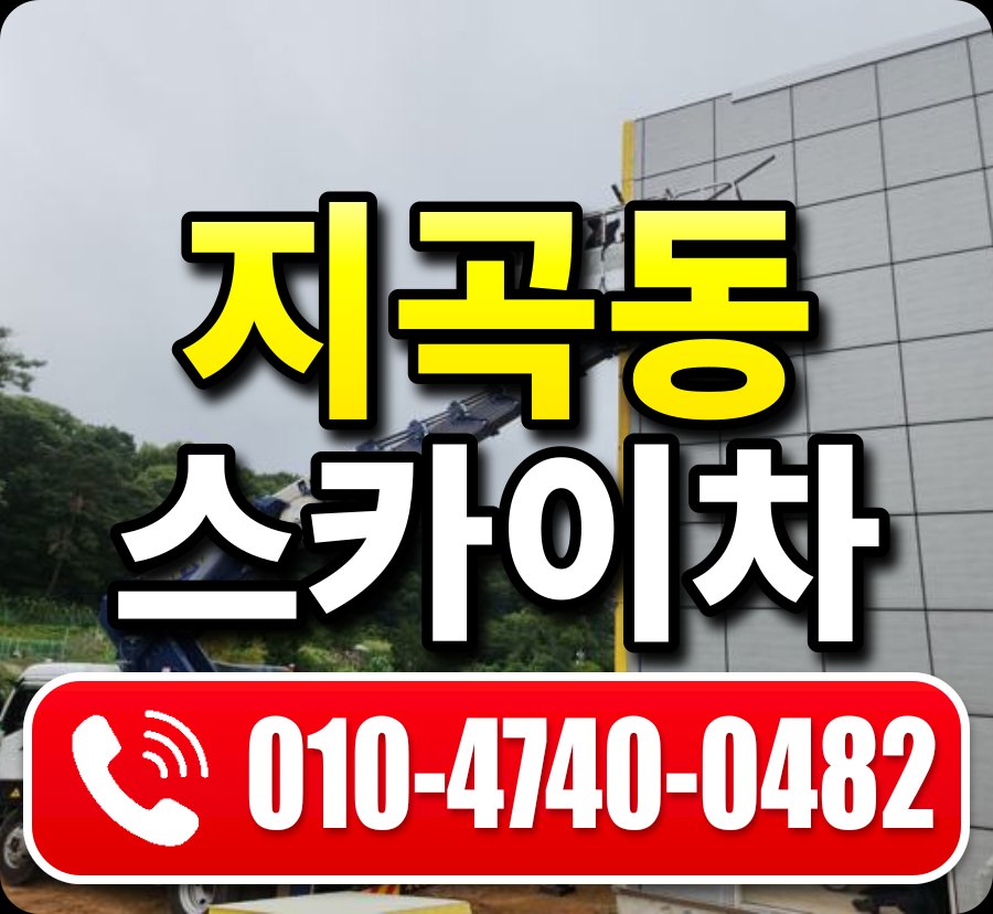 지곡동 스카이차 010-4740-0482