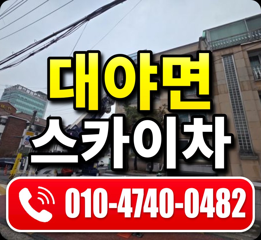 대야면 스카이차 010-4740-0482