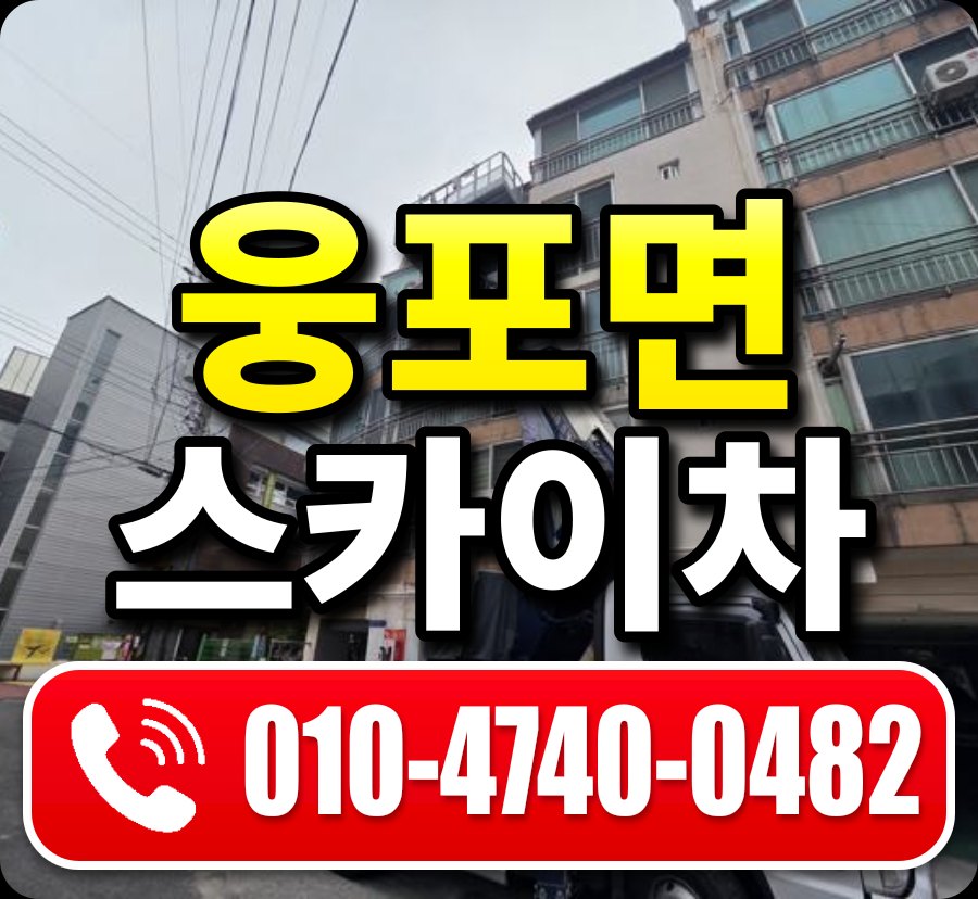 웅포면 스카이차 010-4740-0482