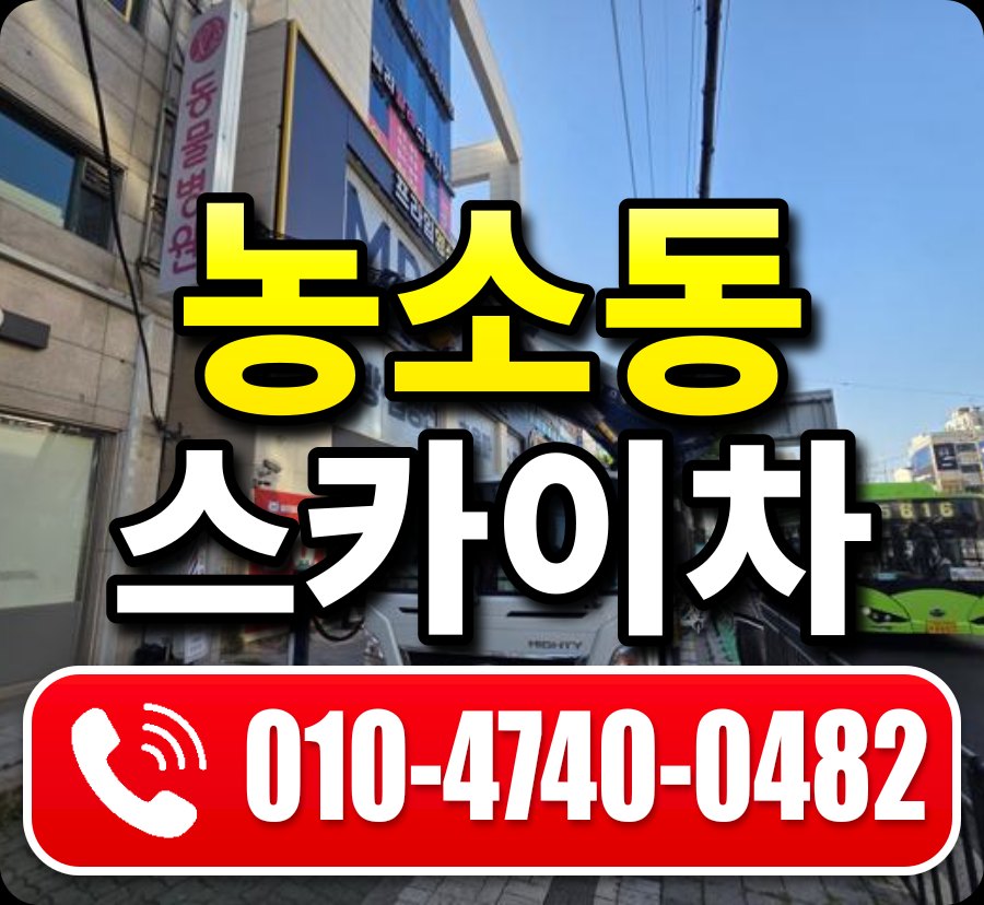 농소동 스카이차 010-4740-0482