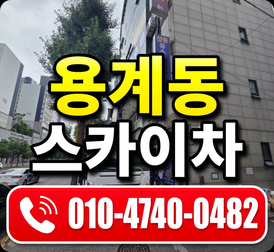 용계동 스카이차 010-4740-0482