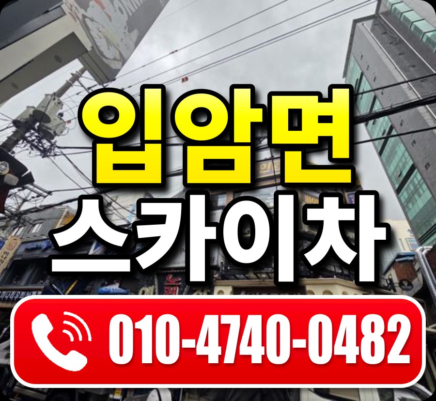 입암면 스카이차 010-4740-0482