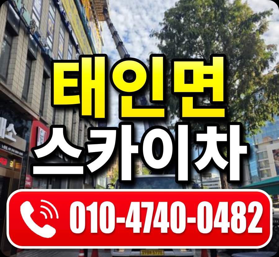 태인면 스카이차 010-4740-0482