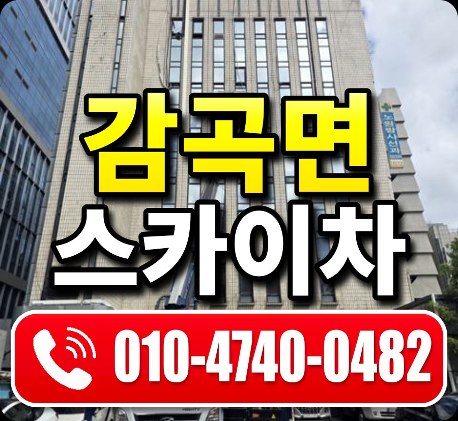 감곡면 스카이차 010-4740-0482