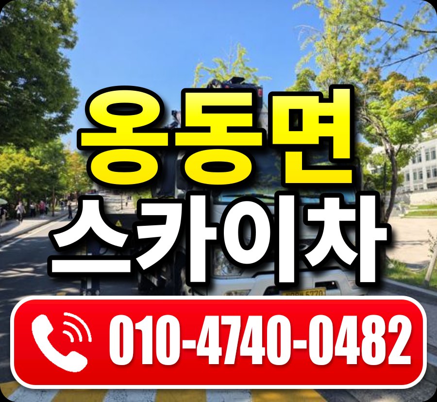 옹동면 스카이차 010-4740-0482