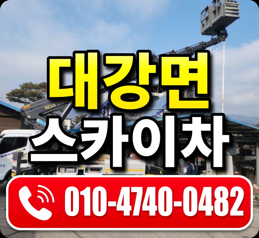 대강면 스카이차 010-4740-0482