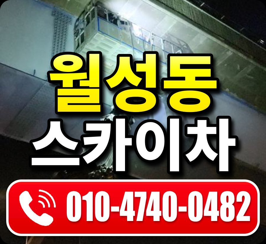 월성동 스카이차 010-4740-0482